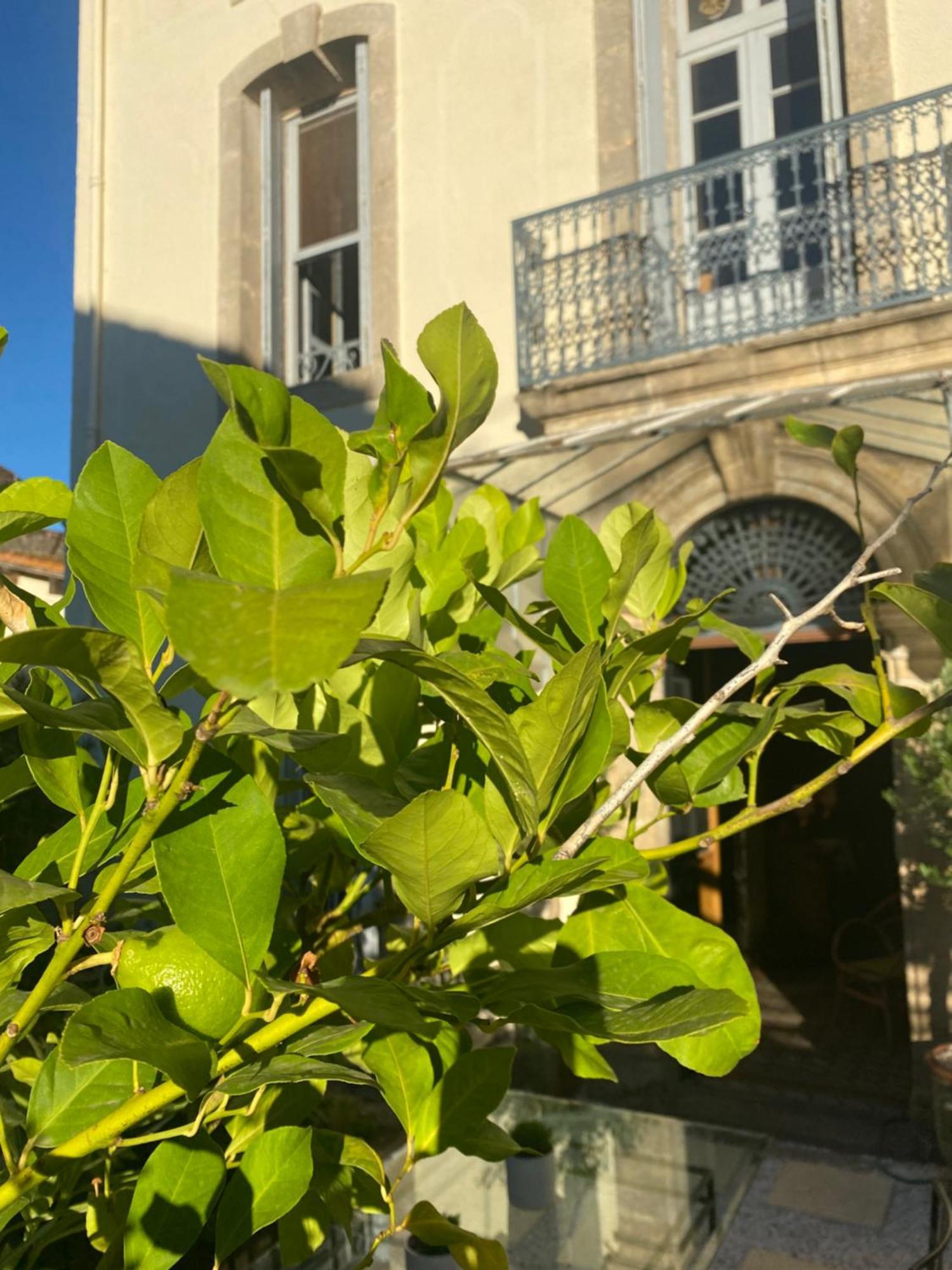 Отель Le Jardin Aspiran Экстерьер фото